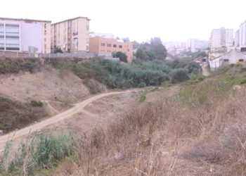 descampado-arroyo-paneque-vecinos-reclaman-limpieza-003