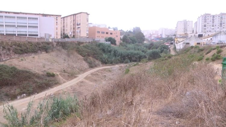 descampado-arroyo-paneque-vecinos-reclaman-limpieza-003
