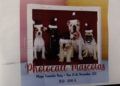 mascotas-photocall-camara-comercio-navidad-001