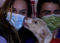 mascotas-photocall-camara-comercio-navidad-006