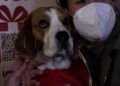 mascotas-photocall-camara-comercio-navidad-014