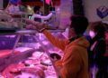 mercado-cesta-cena-nochebuena-2021-012