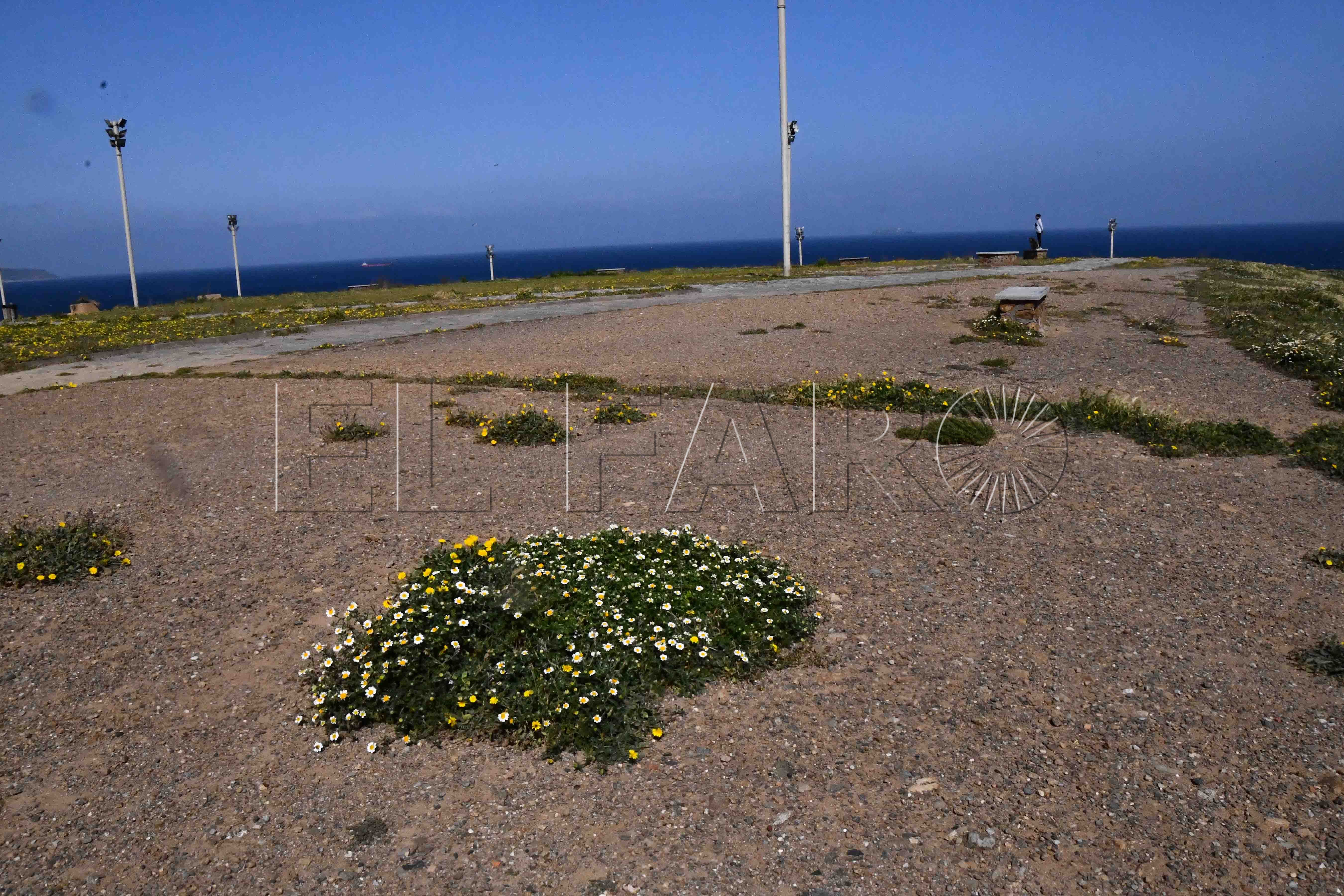 parque-santa-catalina