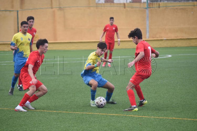 polillas-sevillaB