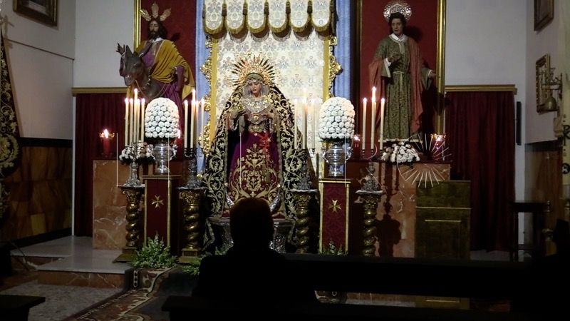 virgen-palma-pollinica-ofrenda-inmaculada-concepcion-002