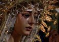 virgen-palma-pollinica-ofrenda-inmaculada-concepcion-006