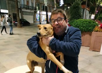 articulo-opinion-torregrosa