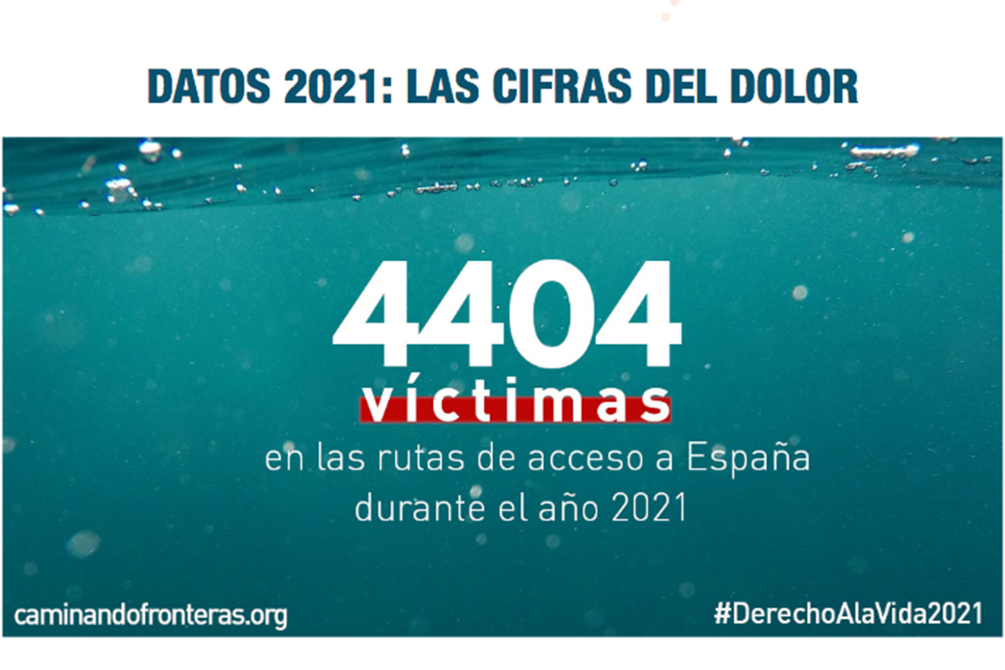 caminando-fronteras-2021