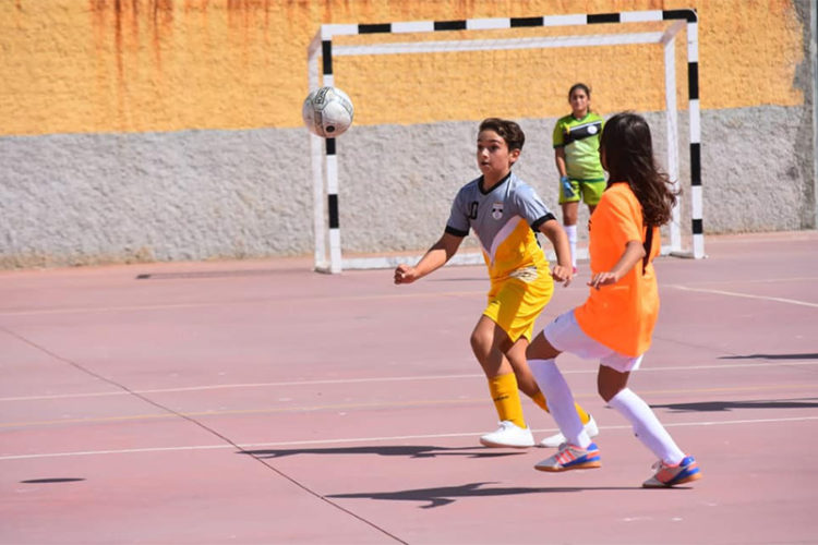 ffce-actividades
