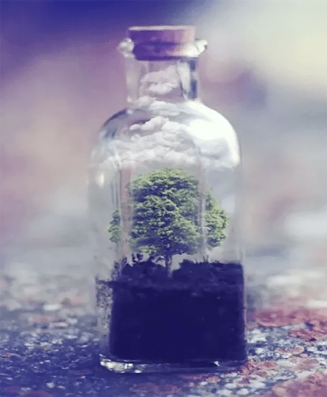 medio-ambiente-cuidar-planeta