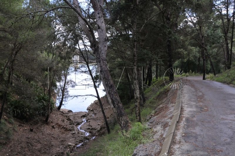pantano-renegado