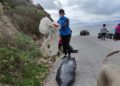 ceuta-sin-plastico-recogida-003