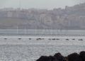 guardia-civil-red-marruecos-004