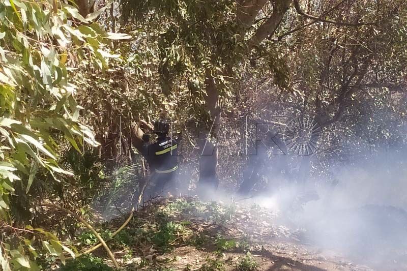 incendio-bomberos-monte-002