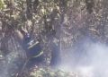 incendio-bomberos-monte-003
