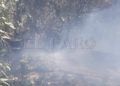 incendio-bomberos-monte-004