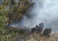 incendio-bomberos-monte-005