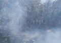 incendio-bomberos-monte-006