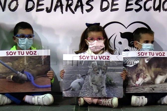 manifestacion-defensa-animales-011