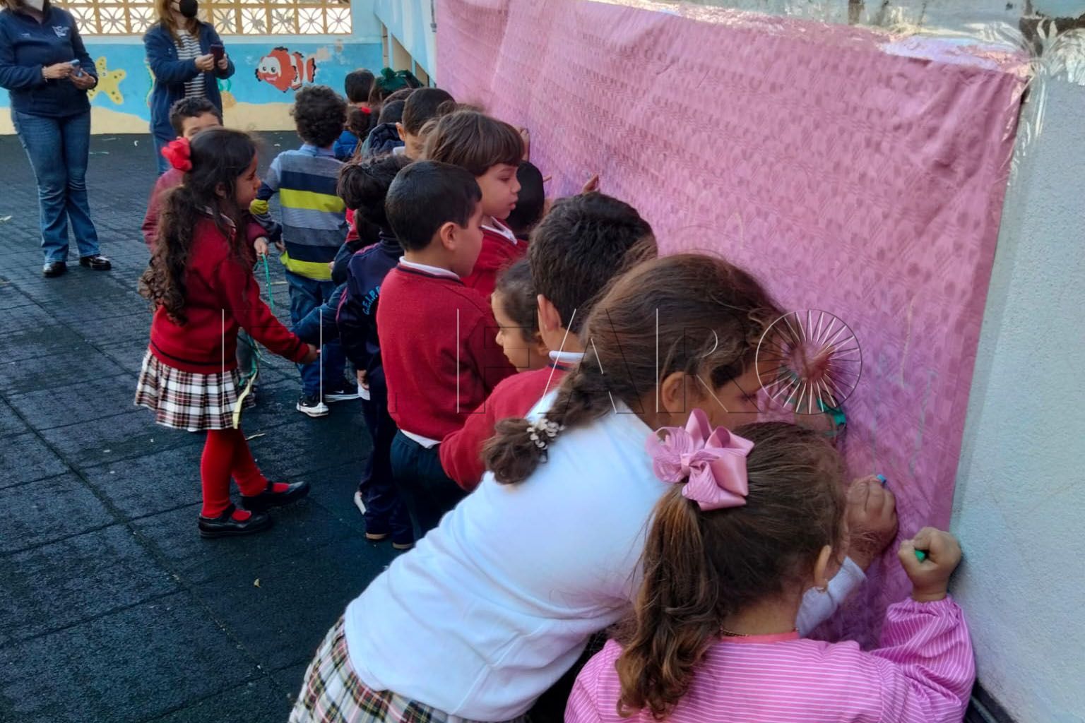 rosalia-de-castro-matematicas-3-niños