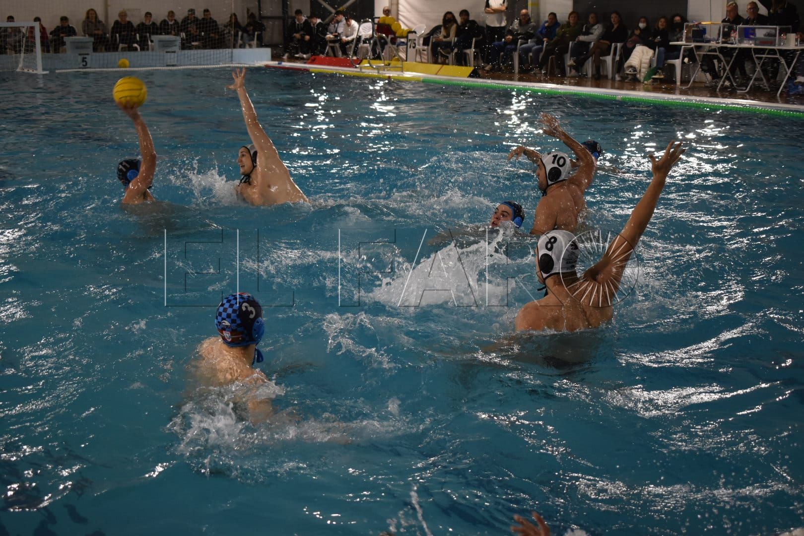natación