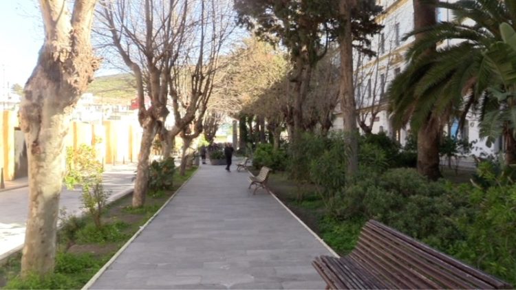 acto-campus-ceuta-apoyo-ucrania-007