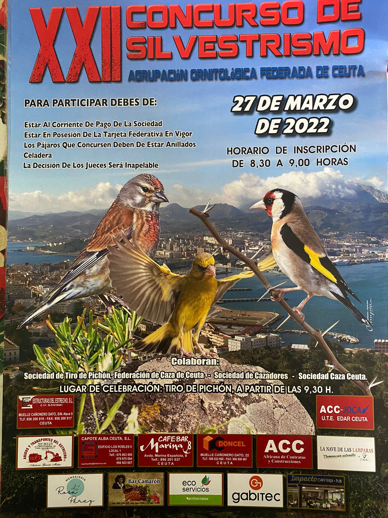 cartel-silvestrismo ok