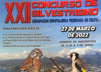 cartel-silvestrismo-recortado