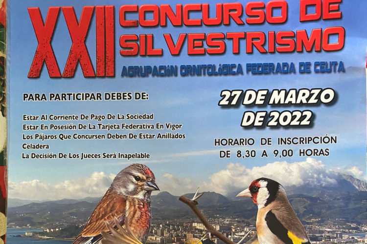 cartel-silvestrismo-recortado