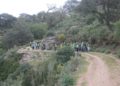 club-senderismo-manada-ruta-buitreras-003