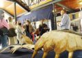 museo-mar-maestros-003
