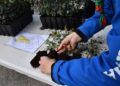 scouts-ceuta-reforestacion-calamocarro-036