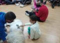 terapia-perros-colegio-san-antonio-004