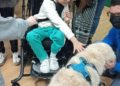 terapia-perros-colegio-san-antonio-009