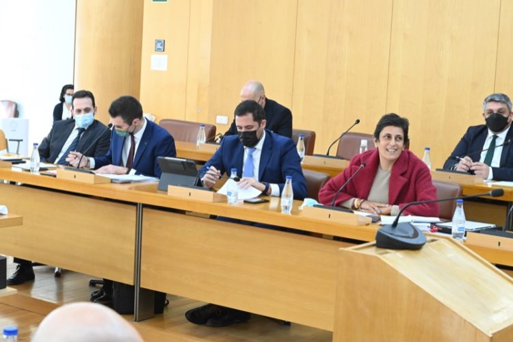 vox-pp-pleno