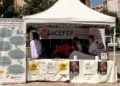 acefep-suicidio (1)