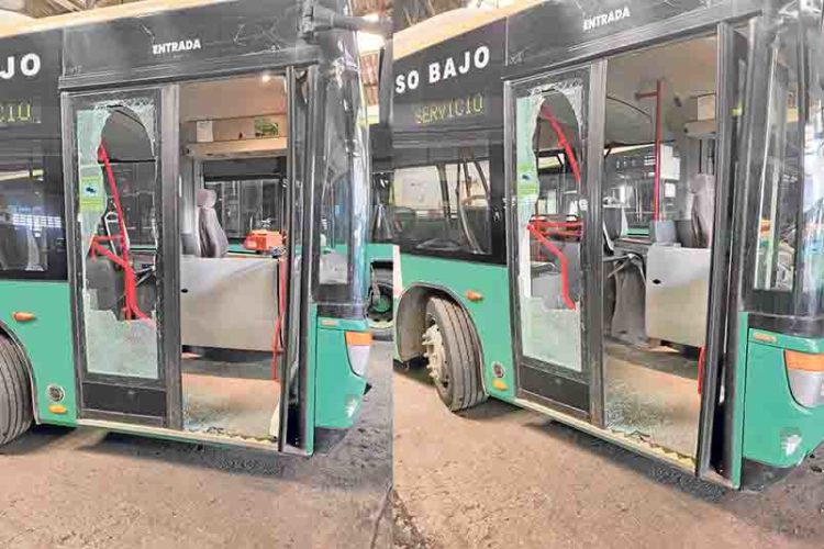autobus los rosales