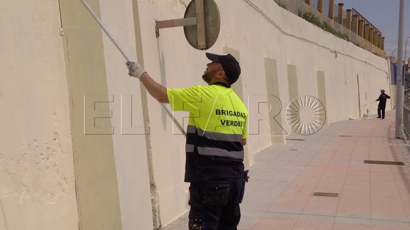 brigadas-verdes-prepara-apertura-frontera-011