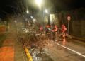 carretera-cortada-san-amaro-caida-arbol-bomberos-001