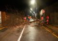 carretera-cortada-san-amaro-caida-arbol-bomberos-002