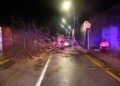 carretera-cortada-san-amaro-caida-arbol-bomberos-003