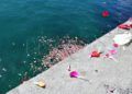 flores-mar