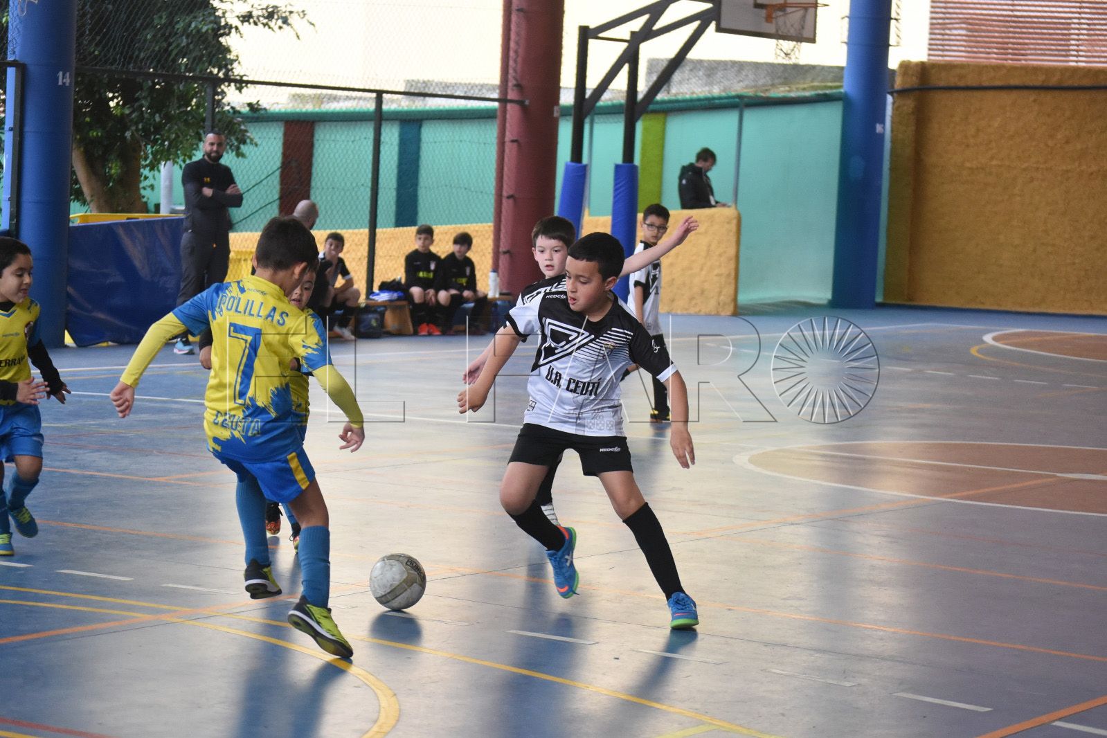 futbol base