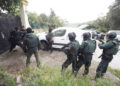 guardia-civil-hachis-los-barrios