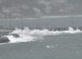 oleaje-temporal-mar-bravo-001