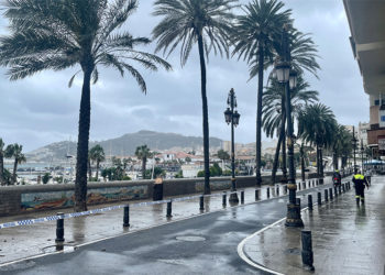 paseo-palmeras-cierre