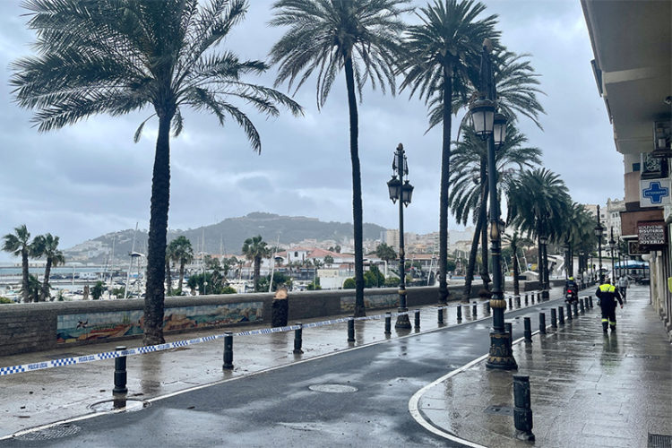 paseo-palmeras-cierre