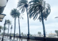 paseo-palmeras-temporal-002