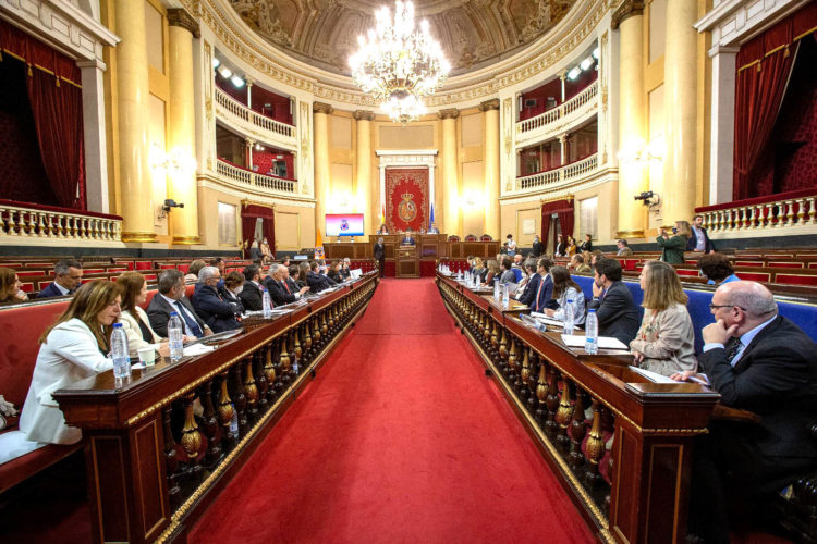 pleno_consejo_protección_civil_deu