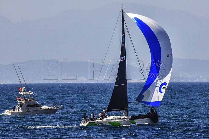 regata-vela (7)